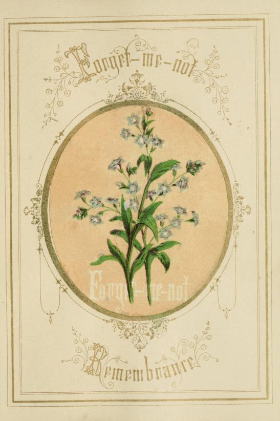 The Lost Language of Flowers: Stories Told in Silver