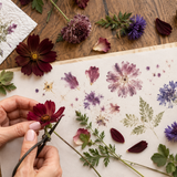 Petal Impressions — Saturday 21 November 2026