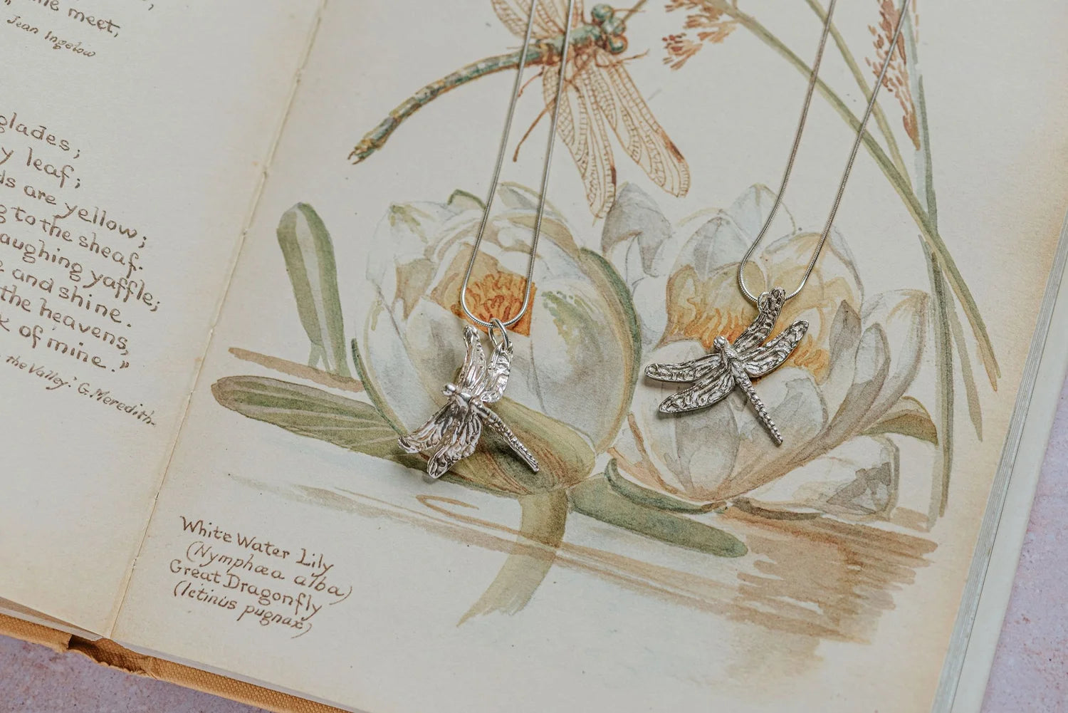Dragonfly Necklace 3 in fine silver displayed on vintage botanical book with dragonfly illustration, artisan nature inspired jewellery gift UK