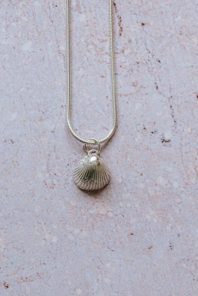Fine silver cockleshell pendant necklace on 16-inch chain