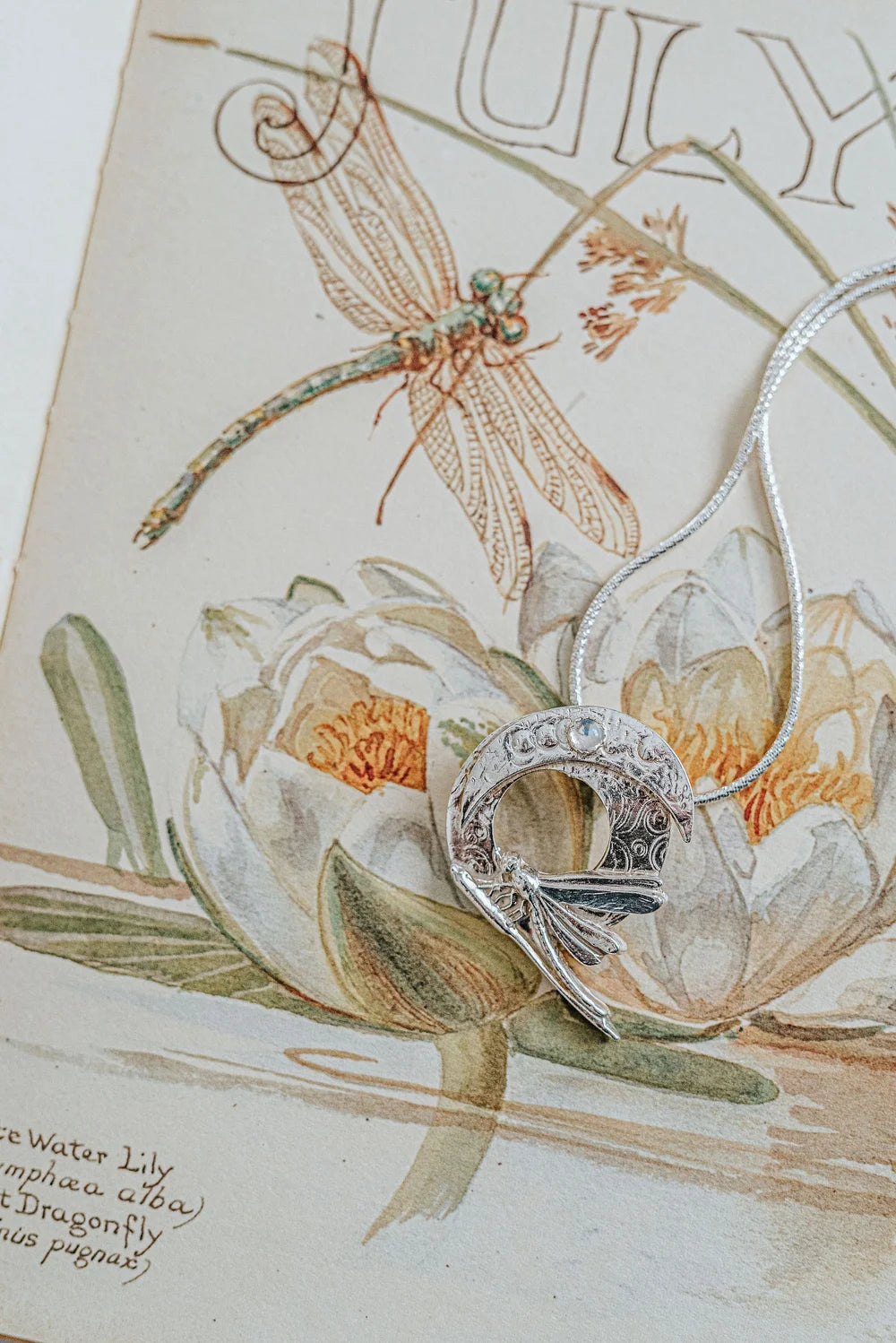 Dragonfly and moon pendant necklace styled on vintage illustrated book