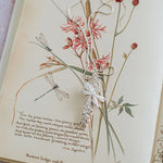 Handmade silver dragonfly and catkin pendant necklace resting on vintage botanical book illustration, artisan nature inspired jewellery gift for her