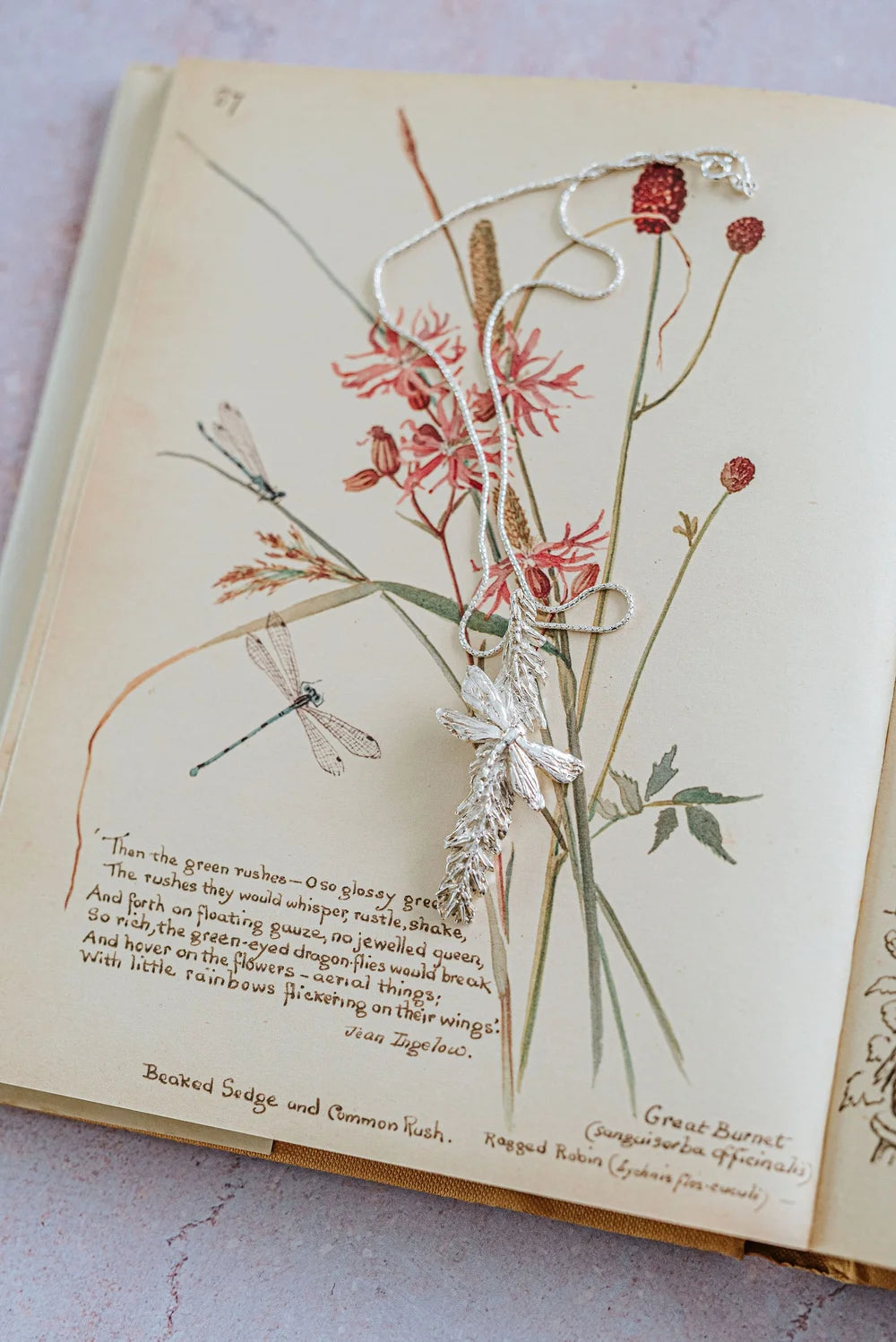 Handmade silver dragonfly and catkin pendant necklace resting on vintage botanical book illustration, artisan nature inspired jewellery gift for her