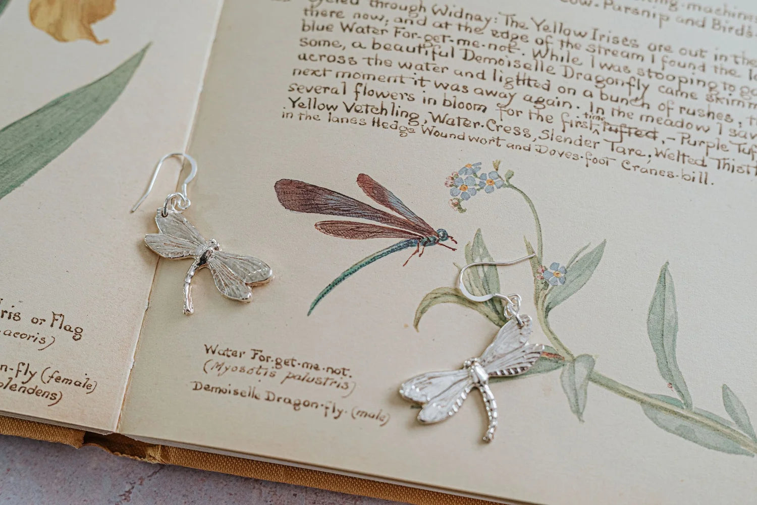 Handcrafted silver dragonfly earrings resting on vintage botanical book page with water forget-me-not illustration.