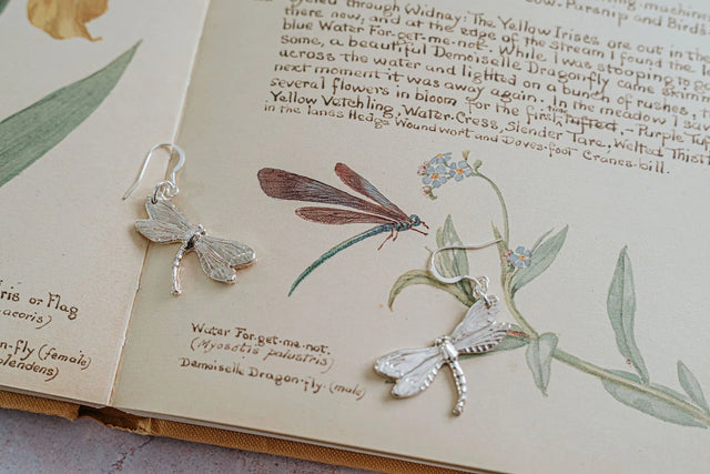Handmade silver dragonfly earrings by Sue Studd