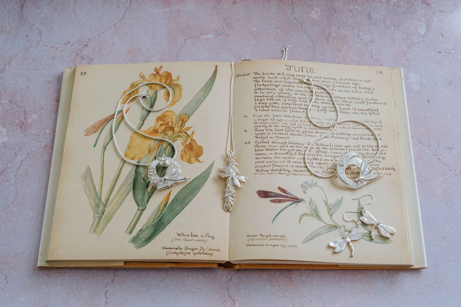 Handmade silver dragonfly jewellery collection displayed on vintage botanical book, including moon dragonfly pendants, catkin dragonfly pendant, and dragonfly earrings, artisan nature inspired jewellery gifts UK