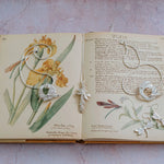 Handmade silver dragonfly jewellery collection displayed on vintage botanical book, including moon dragonfly pendants, catkin dragonfly pendant, and dragonfly earrings, artisan nature inspired jewellery gifts UK