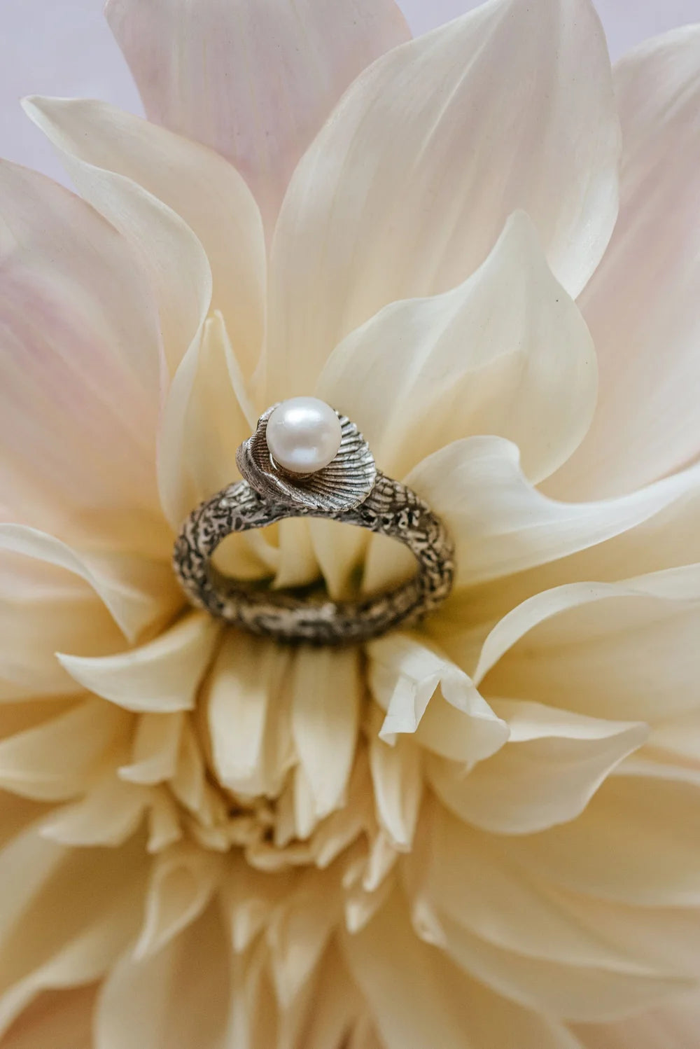 Handmade recycled silver ring with freshwater pearl in shell setting, displayed on cream dahlia flower